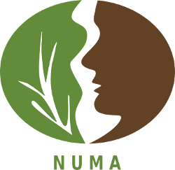 Logo do NUMA Logo do NUMA