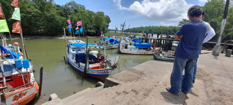 GPSA-Amazônias em São Caetano de Odivelas